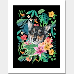 Tropical Black Headed Tricolor White Corgi Posters and Art